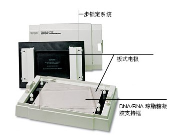 Trans-Blot SDD(zhun)ӡ